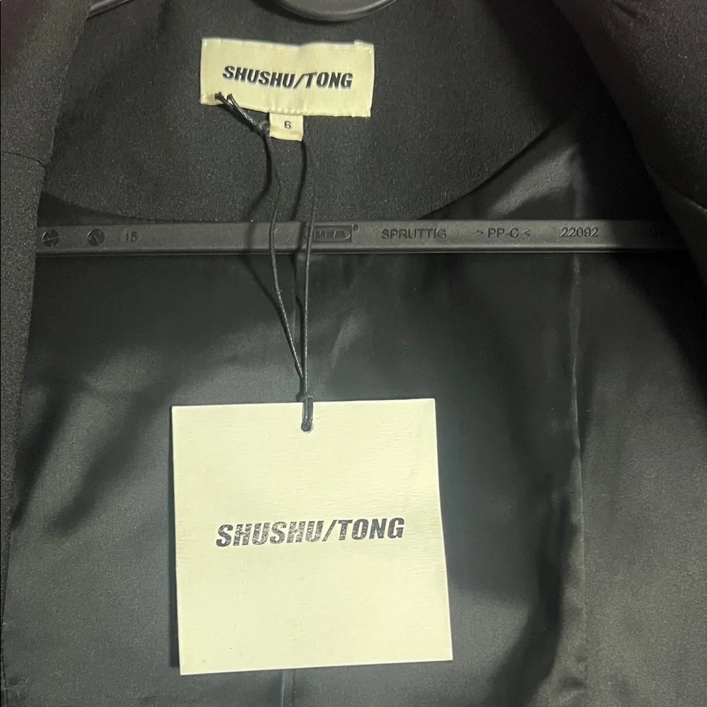 Elegant Black Blazer dress with Crystal Embellishments! - Picture 16 of 16